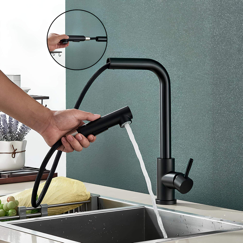 Robinet douchette - Design et pratique - Noir mat