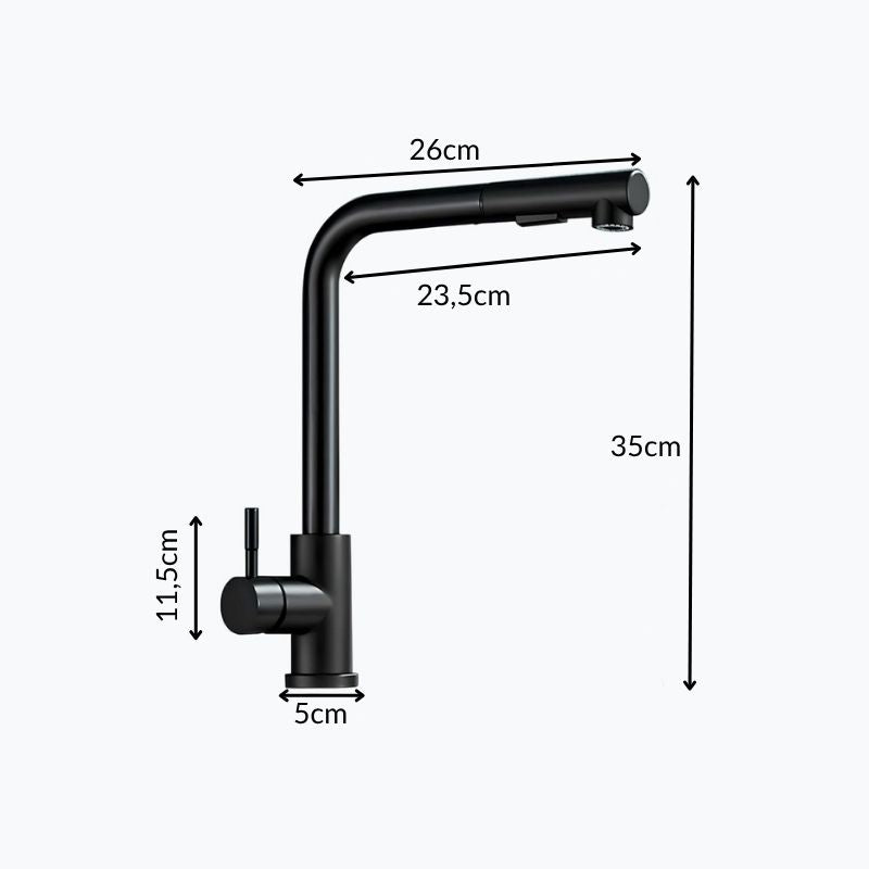 Robinet douchette - Design et pratique - Or brossé