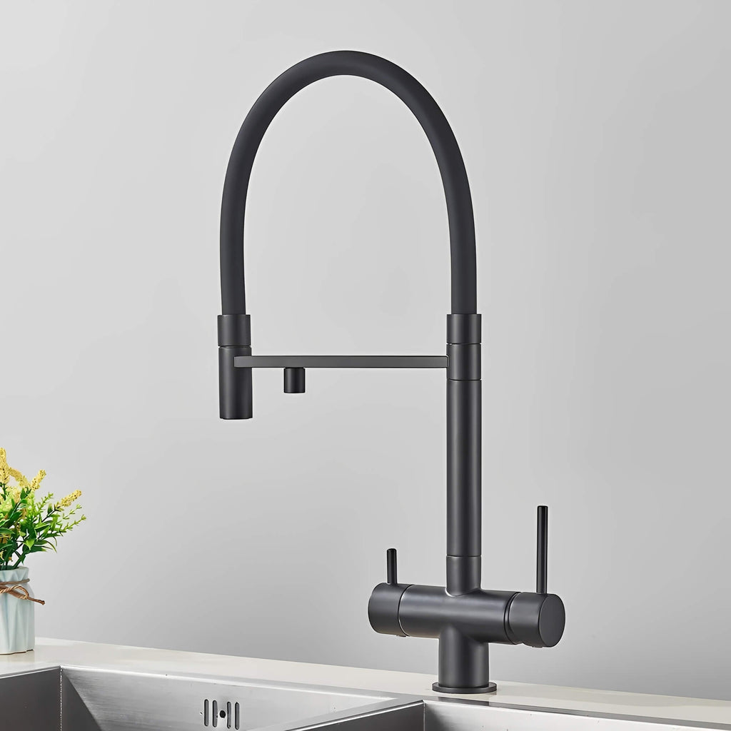 Robinet de cuisine avec douchette et sortie eau filtrée - Noir