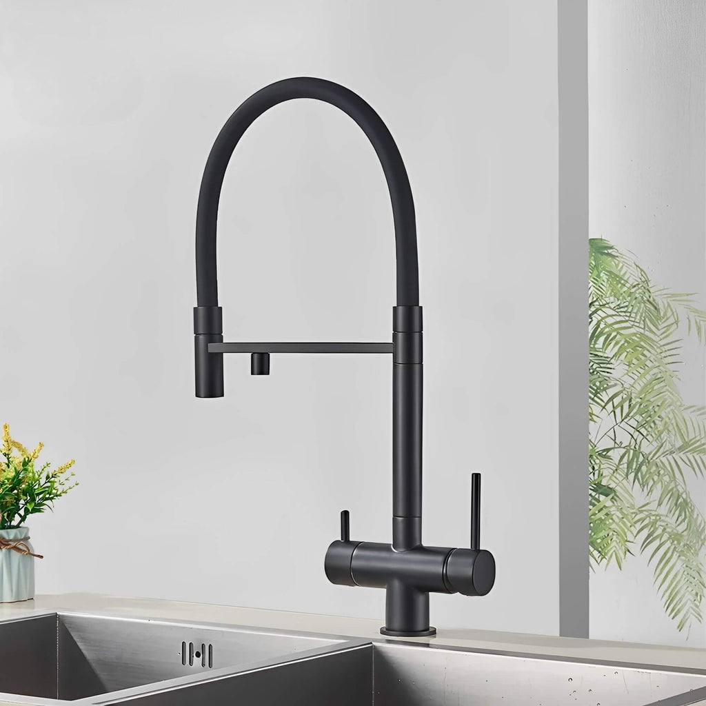Robinet de cuisine avec douchette et sortie eau filtrée - Noir