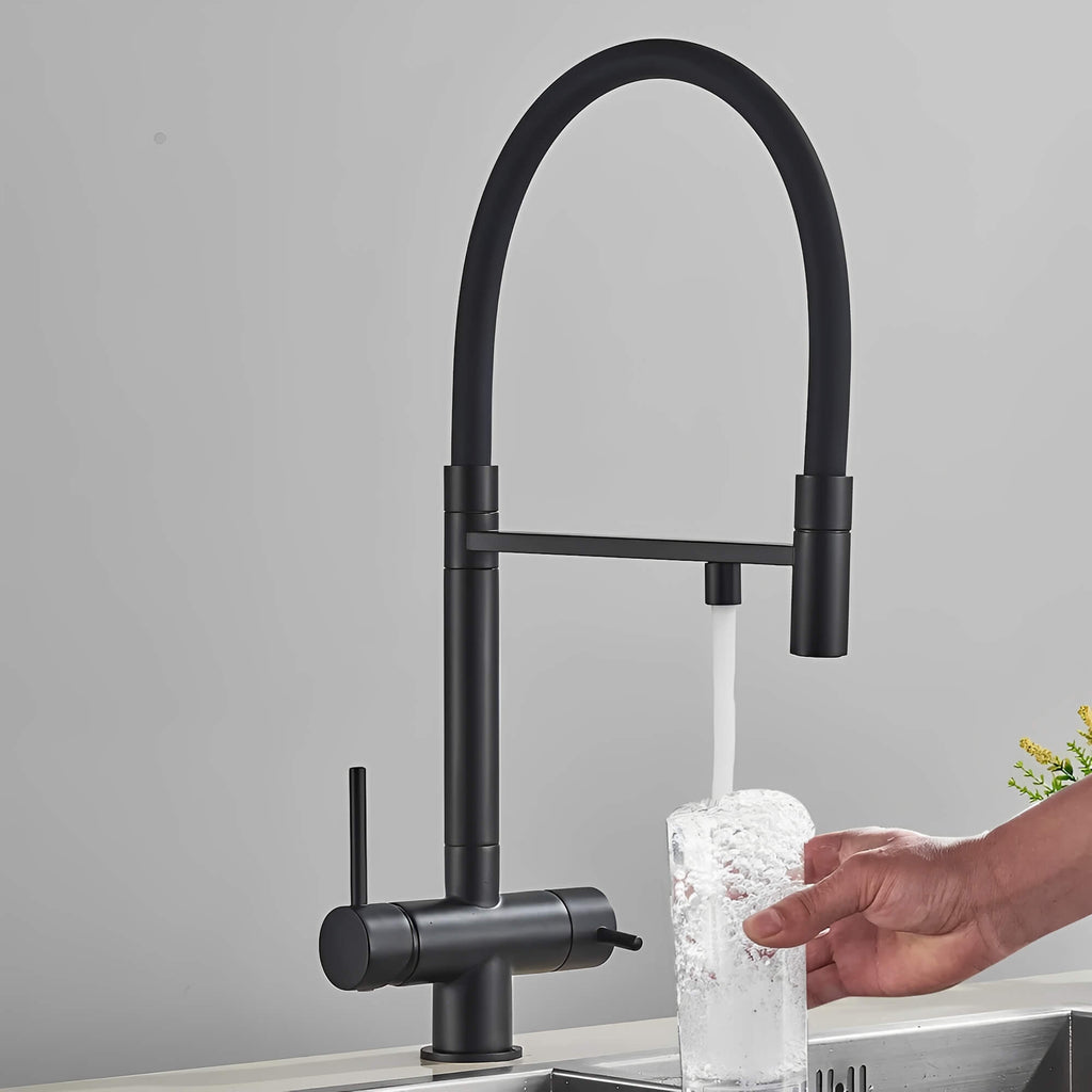 Robinet de cuisine avec douchette et sortie eau filtrée - Noir
