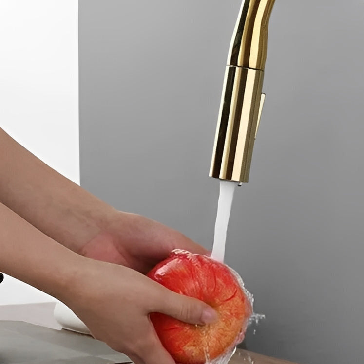 Robinet de cuisine douchette à bec extractible deux jets - Noir