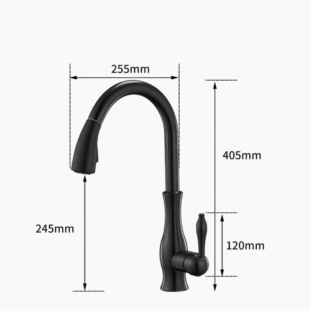 Robinet douchette pour cuisine prestige - Noir
