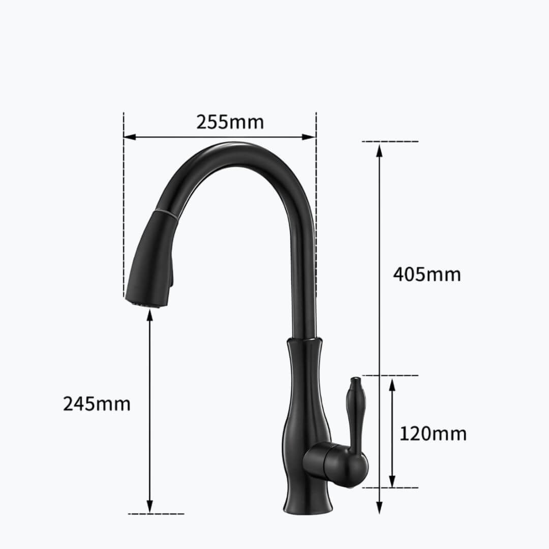 Robinet douchette pour cuisine prestige - Noir