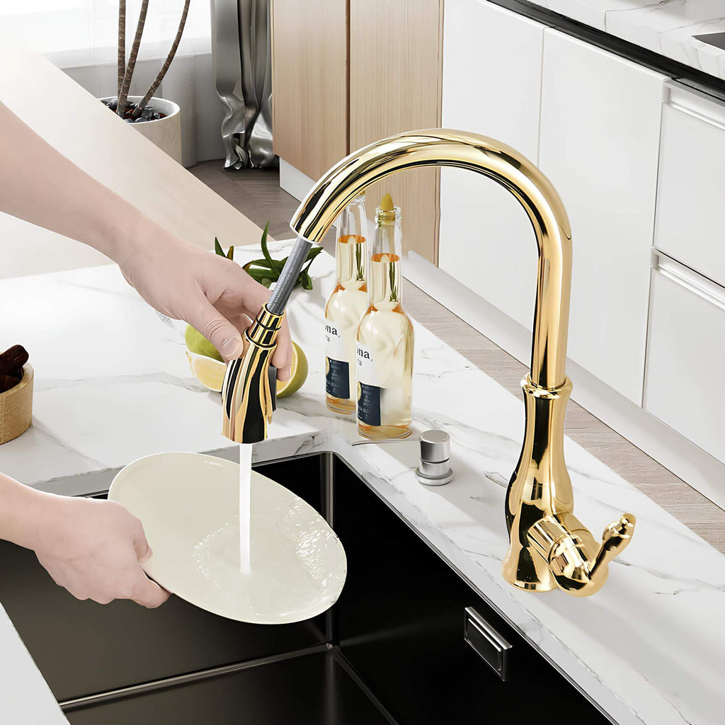 Robinet douchette pour cuisine prestige - Or