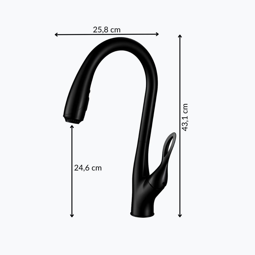 Robinet douchette évier - design luxueux - Noir mat