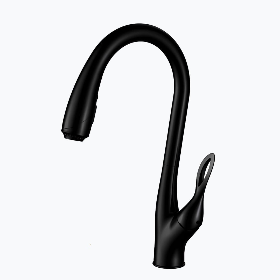 Robinet douchette évier - design luxueux - Or